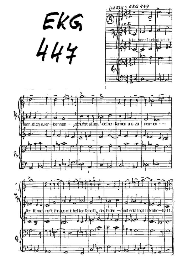 EKG 447